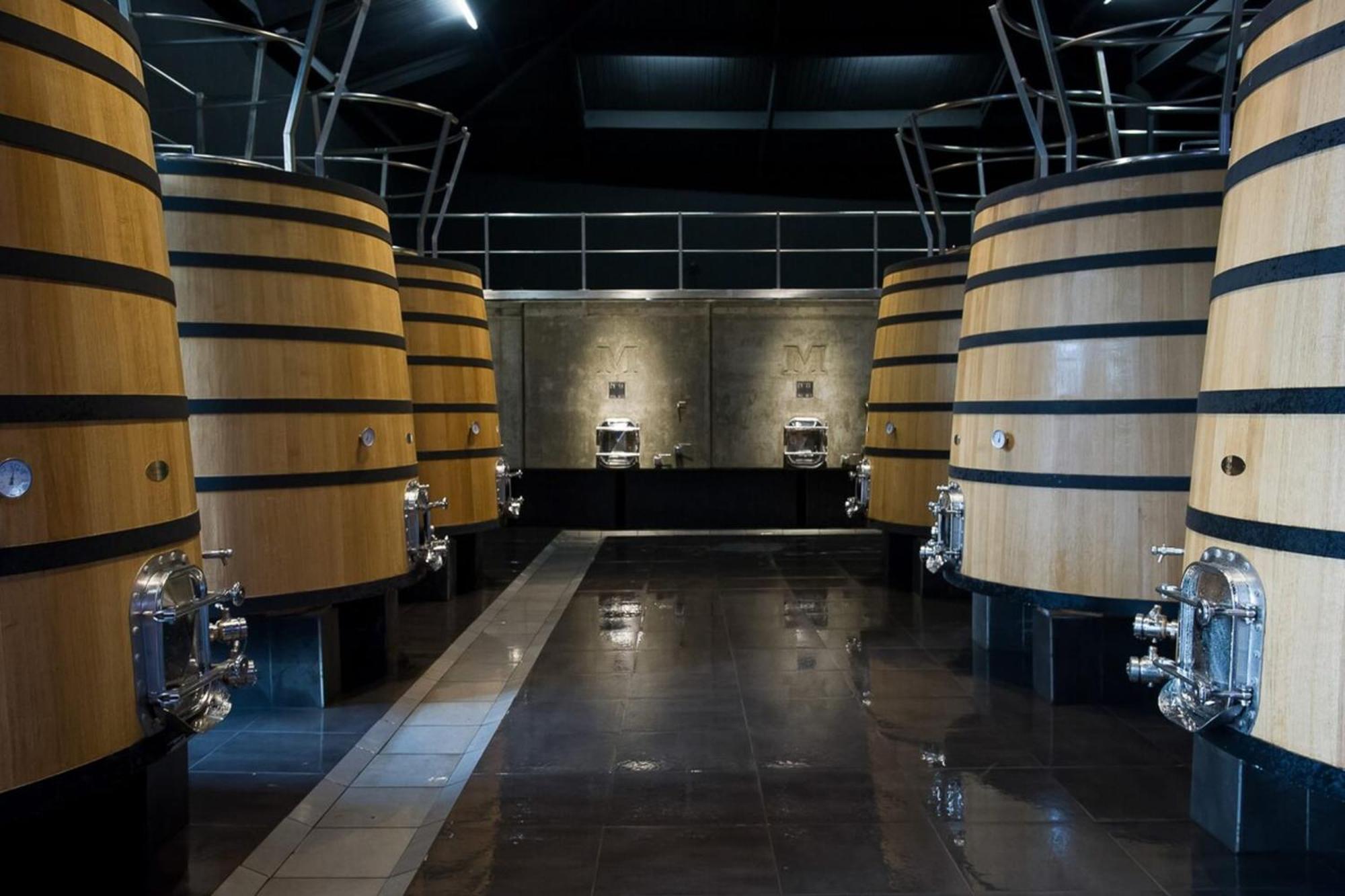 Chateau Malescasse Lamarque エクステリア 写真