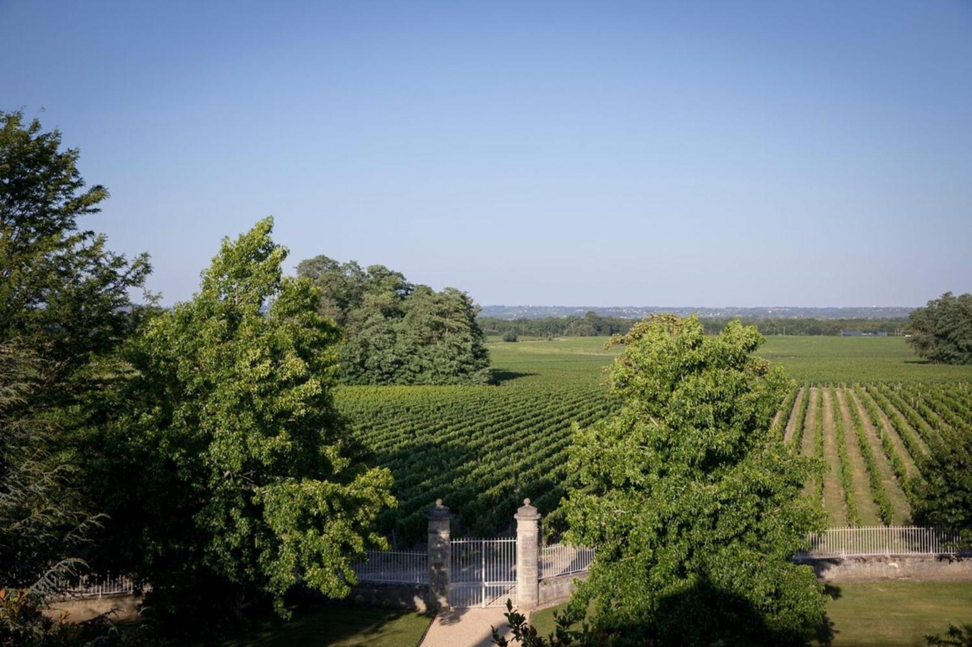 Chateau Malescasse Lamarque エクステリア 写真
