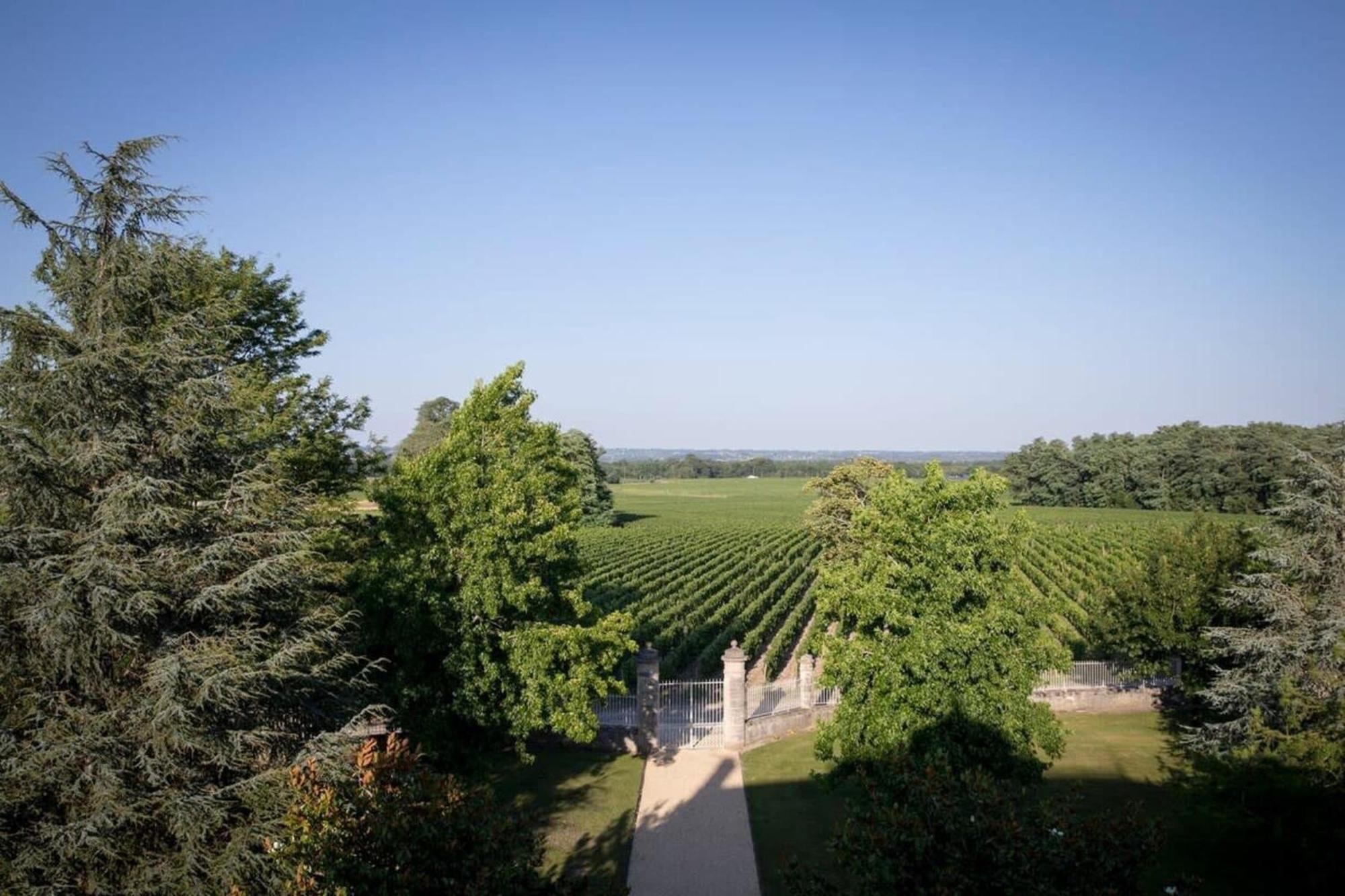 Chateau Malescasse Lamarque エクステリア 写真
