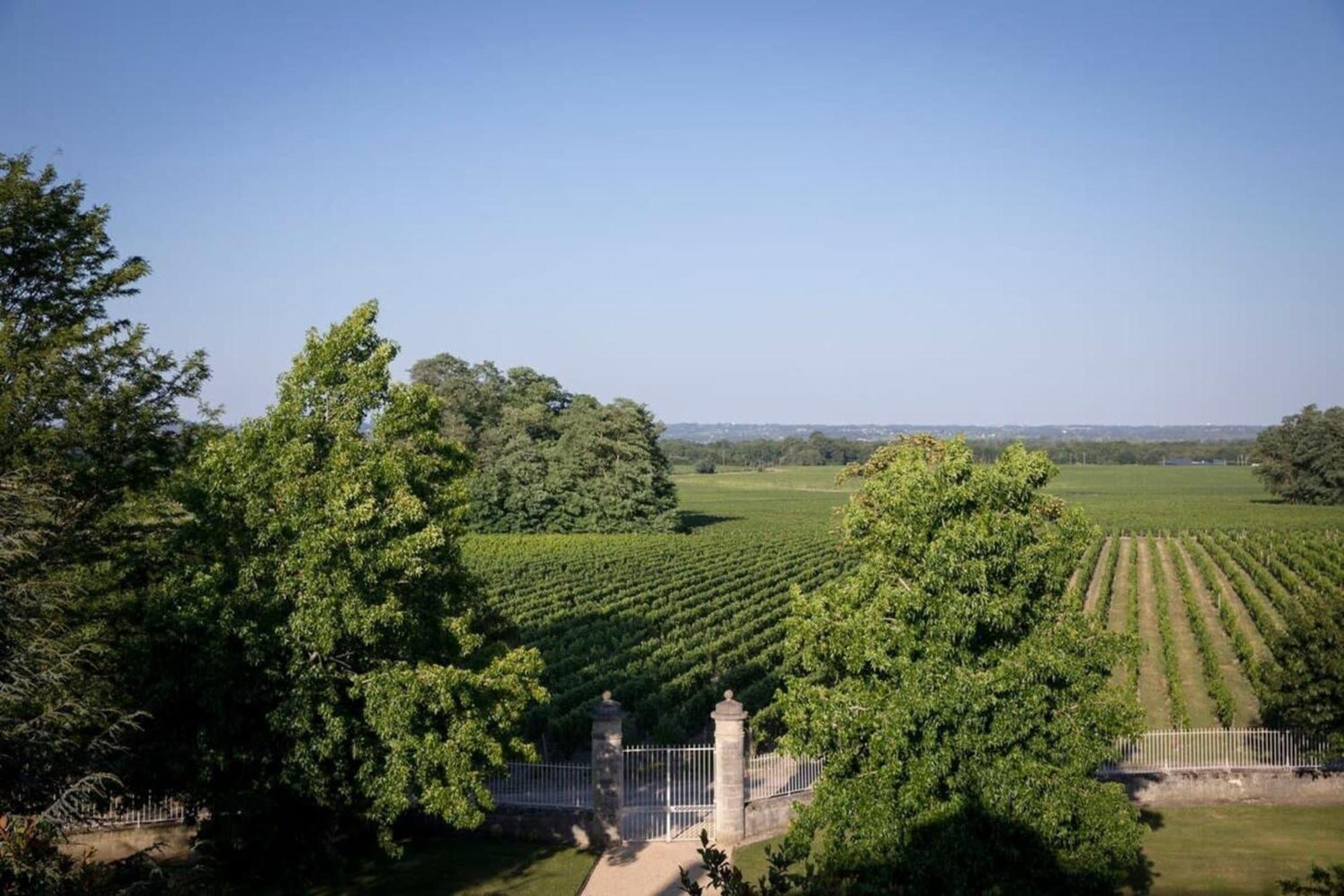 Chateau Malescasse Lamarque エクステリア 写真